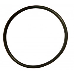 O-Ring 42 x 2,7 mm